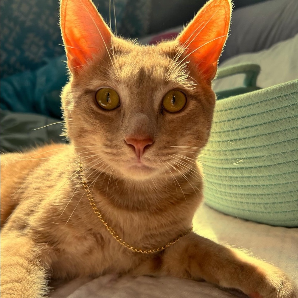 COPY - bean makes jewelry
